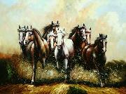 Horses 053